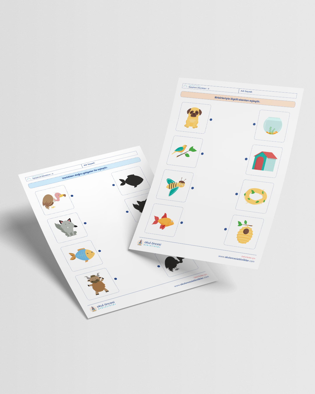 Eşleştirme Etkinlikleri - 3